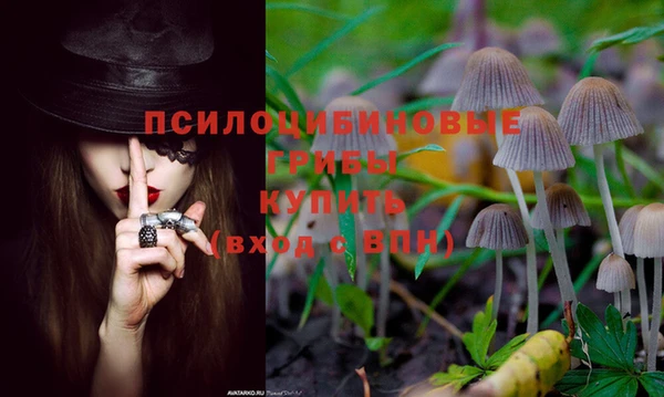 2c-b Абинск